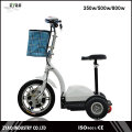 350 Watts 3 Wheels Electric Scooter with Seats Trike